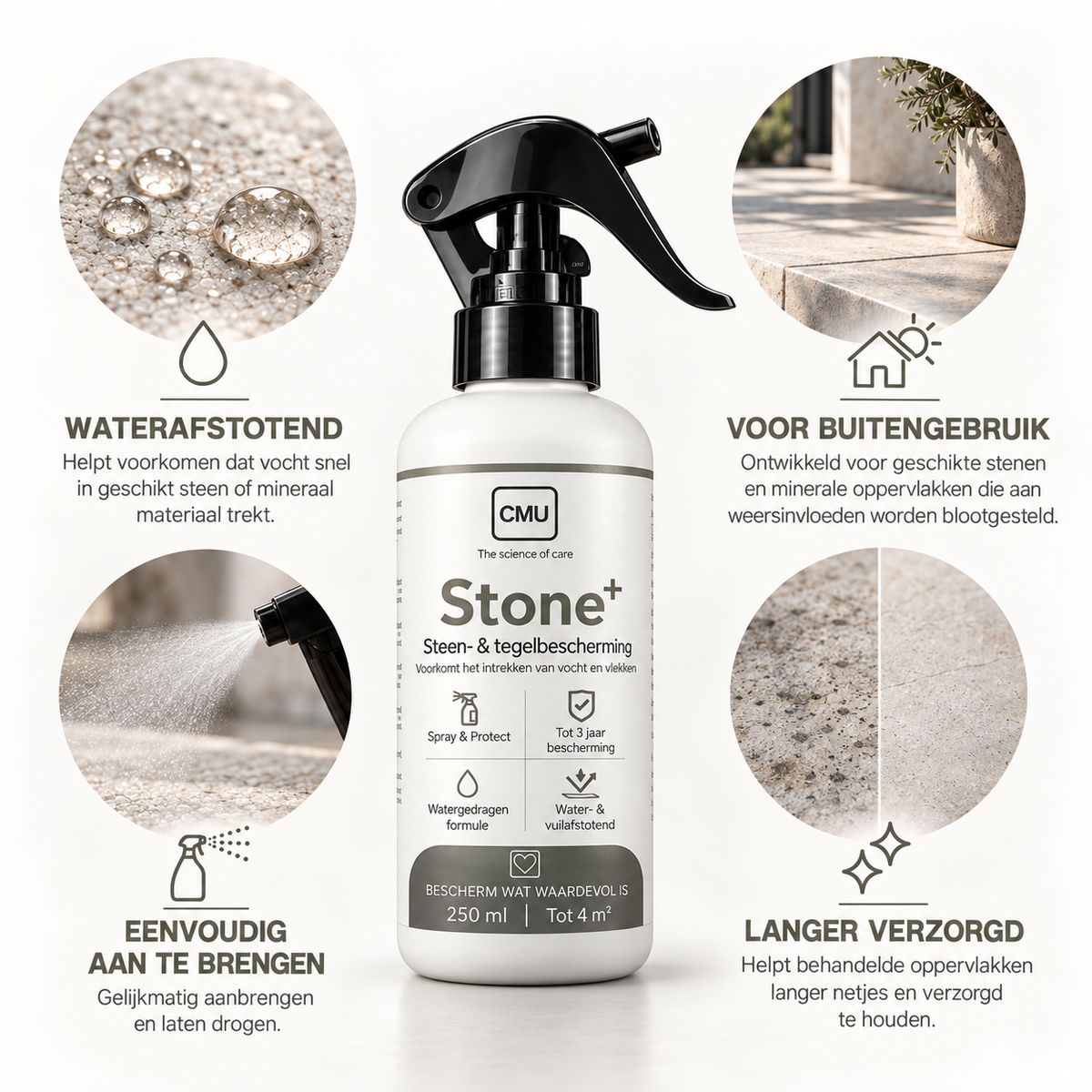 Stone+